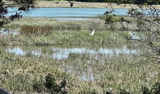 Photo #10 of Lot 19 FOLLY CREEK CLUB LN, ACCOMAC, VA 0.5 acres