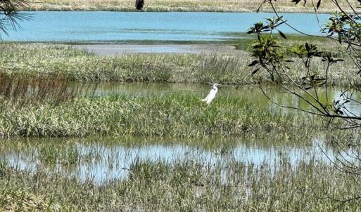 Photo #11 of Lot 19 FOLLY CREEK CLUB LN, ACCOMAC, VA 0.5 acres