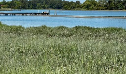 Photo #14 of Lot 19 FOLLY CREEK CLUB LN, ACCOMAC, VA 0.5 acres
