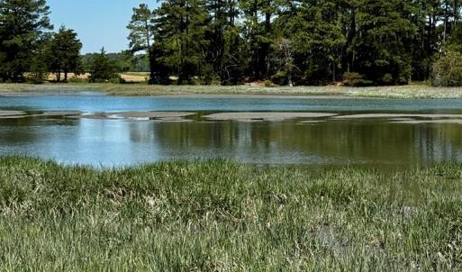 Photo #15 of Lot 19 FOLLY CREEK CLUB LN, ACCOMAC, VA 0.5 acres
