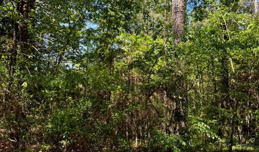 Photo #3 of Lot 19 FOLLY CREEK CLUB LN, ACCOMAC, VA 0.5 acres