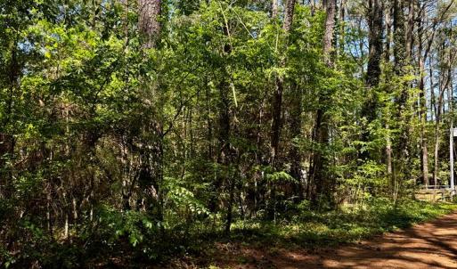 Photo #4 of Lot 19 FOLLY CREEK CLUB LN, ACCOMAC, VA 0.5 acres
