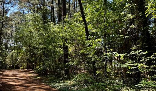 Photo #5 of Lot 19 FOLLY CREEK CLUB LN, ACCOMAC, VA 0.5 acres