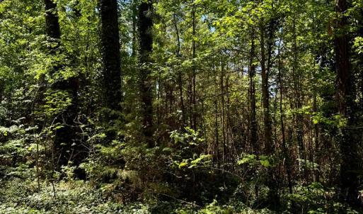 Photo #6 of Lot 19 FOLLY CREEK CLUB LN, ACCOMAC, VA 0.5 acres