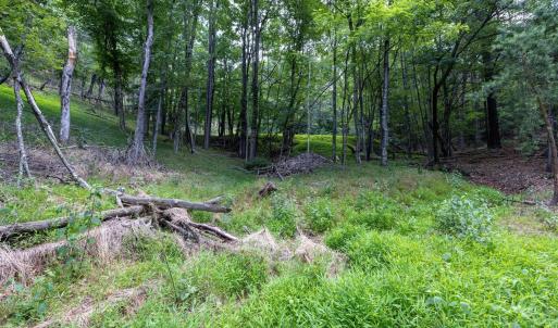 Photo #60 of 22590 CRIDERS RD, CRIDERS, VA 212.4 acres