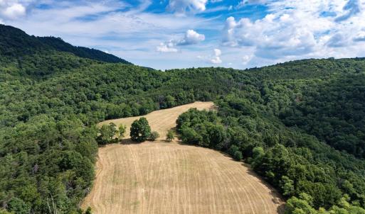 Photo #32 of 22590 CRIDERS RD, CRIDERS, VA 212.4 acres