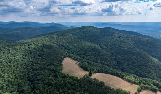 Photo #22 of 22590 CRIDERS RD, CRIDERS, VA 212.4 acres