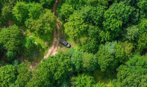 Photo #50 of 22590 CRIDERS RD, CRIDERS, VA 212.4 acres