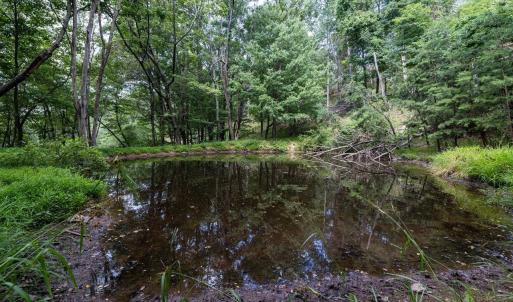 Photo #52 of 22590 CRIDERS RD, CRIDERS, VA 212.4 acres