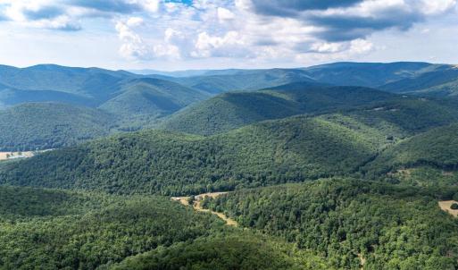 Photo #14 of 22590 CRIDERS RD, CRIDERS, VA 212.4 acres