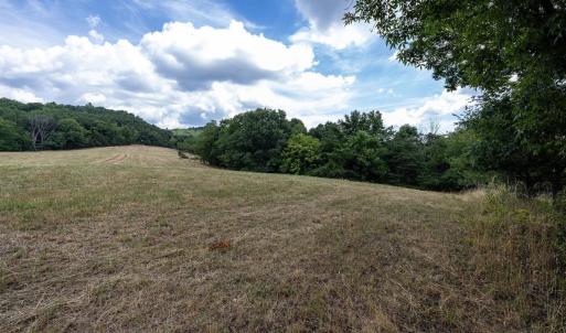 Photo #48 of 22590 CRIDERS RD, CRIDERS, VA 212.4 acres