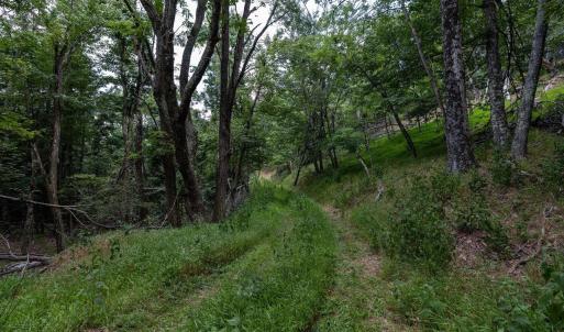 Photo #59 of 22590 CRIDERS RD, CRIDERS, VA 212.4 acres