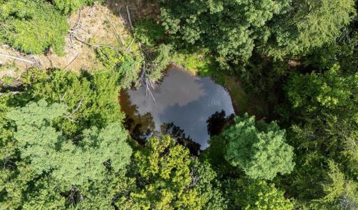 Photo #51 of 22590 CRIDERS RD, CRIDERS, VA 212.4 acres