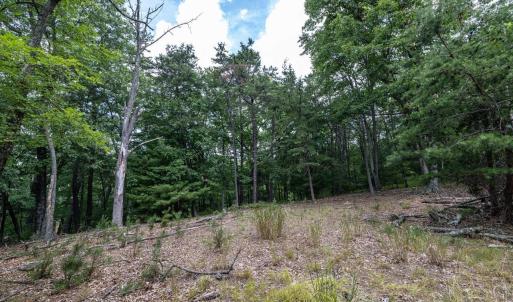 Photo #61 of 22590 CRIDERS RD, CRIDERS, VA 212.4 acres