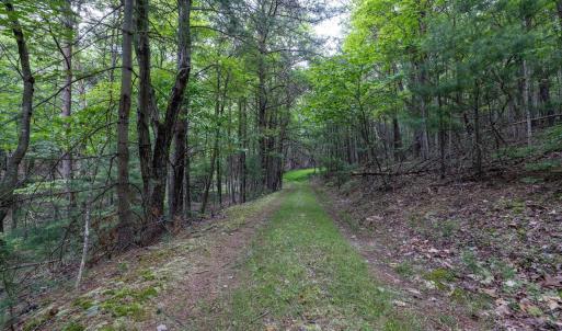 Photo #65 of 22590 CRIDERS RD, CRIDERS, VA 212.4 acres
