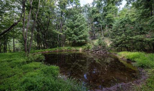 Photo #54 of 22590 CRIDERS RD, CRIDERS, VA 212.4 acres