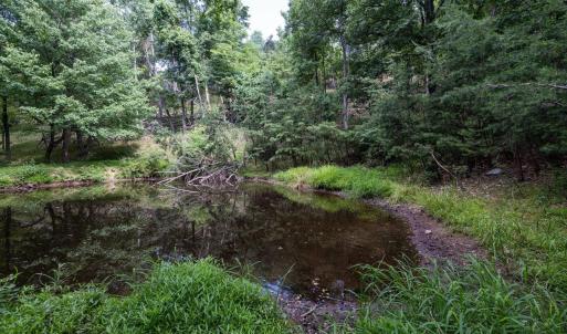 Photo #56 of 22590 CRIDERS RD, CRIDERS, VA 212.4 acres