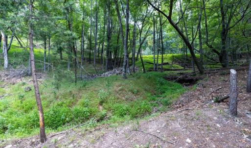 Photo #58 of 22590 CRIDERS RD, CRIDERS, VA 212.4 acres