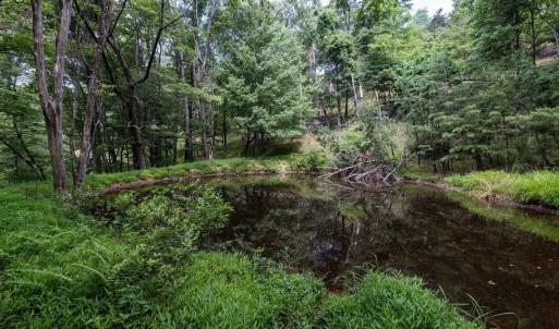 Photo #55 of 22590 CRIDERS RD, CRIDERS, VA 212.4 acres