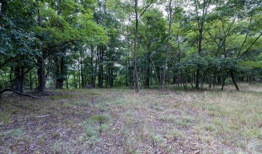 Photo #64 of 22590 CRIDERS RD, CRIDERS, VA 212.4 acres