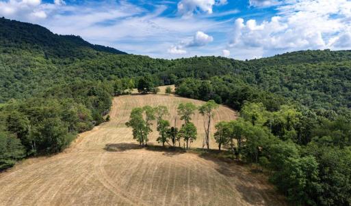Photo #33 of 22590 CRIDERS RD, CRIDERS, VA 212.4 acres