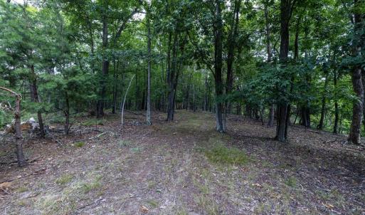 Photo #63 of 22590 CRIDERS RD, CRIDERS, VA 212.4 acres