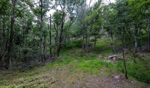 Photo #57 of 22590 CRIDERS RD, CRIDERS, VA 212.4 acres