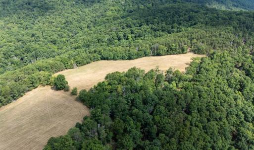 Photo #31 of 22590 CRIDERS RD, CRIDERS, VA 212.4 acres