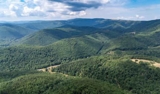 Photo #13 of 22590 CRIDERS RD, CRIDERS, VA 212.4 acres