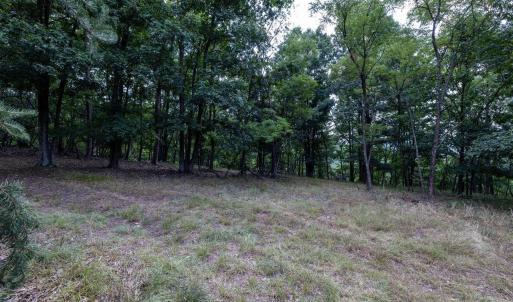 Photo #62 of 22590 CRIDERS RD, CRIDERS, VA 212.4 acres