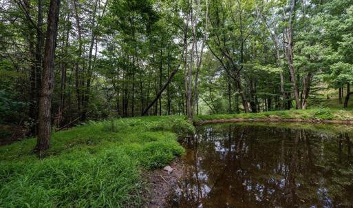 Photo #53 of 22590 CRIDERS RD, CRIDERS, VA 212.4 acres