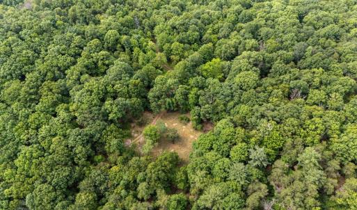 Photo #49 of 22590 CRIDERS RD, CRIDERS, VA 212.4 acres