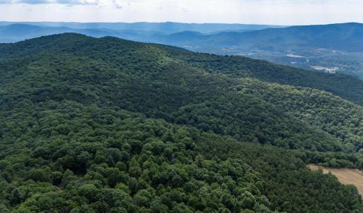 Photo #25 of 22590 CRIDERS RD, CRIDERS, VA 212.4 acres