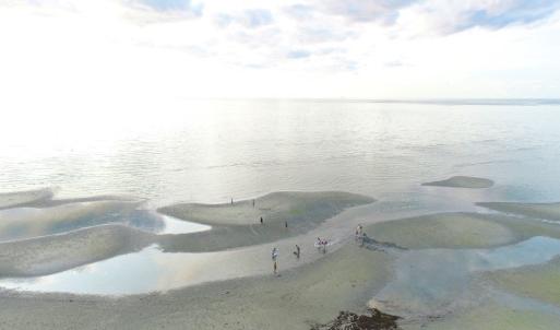 Cape Charles Public Beach