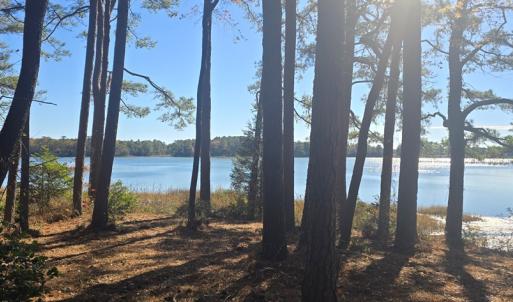 Photo #2 of Lot 1B MADISON LANE, MACHIPONGO, VA 7.5 acres