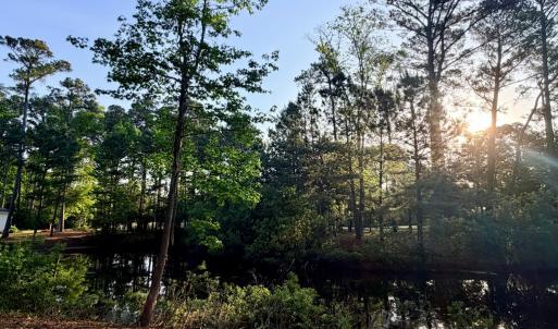 Back of Homesite view