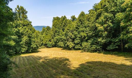 Photo #10 of 2476 ENNIS MOUNTAIN RD, AFTON, VA 114.8 acres