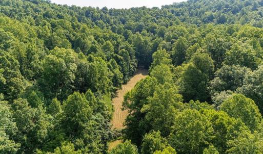 Photo #35 of 2476 ENNIS MOUNTAIN RD, AFTON, VA 114.8 acres