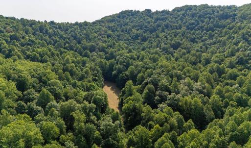 Photo #3 of 2476 ENNIS MOUNTAIN RD, AFTON, VA 114.8 acres