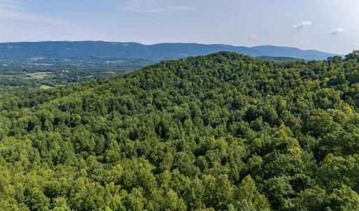 Photo #32 of 2476 ENNIS MOUNTAIN RD, AFTON, VA 114.8 acres