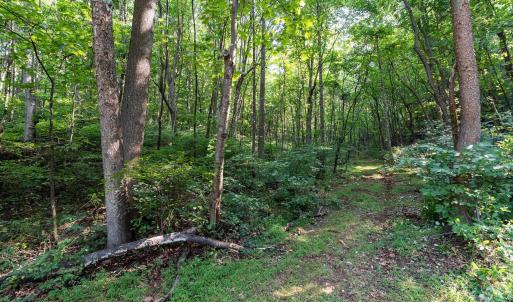 Photo #42 of 2476 ENNIS MOUNTAIN RD, AFTON, VA 114.8 acres