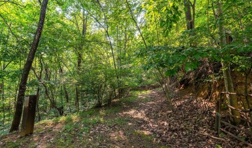 Photo #51 of 2476 ENNIS MOUNTAIN RD, AFTON, VA 114.8 acres