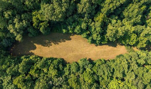 Photo #29 of 2476 ENNIS MOUNTAIN RD, AFTON, VA 114.8 acres