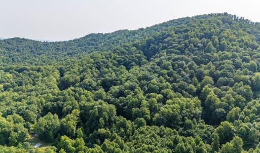Photo #22 of 2476 ENNIS MOUNTAIN RD, AFTON, VA 114.8 acres