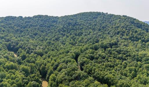 Photo #24 of 2476 ENNIS MOUNTAIN RD, AFTON, VA 114.8 acres