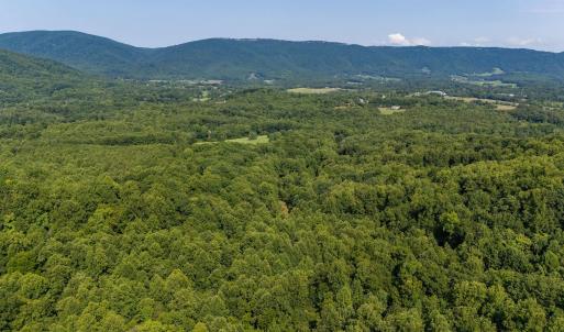 Photo #57 of 2476 ENNIS MOUNTAIN RD, AFTON, VA 114.8 acres