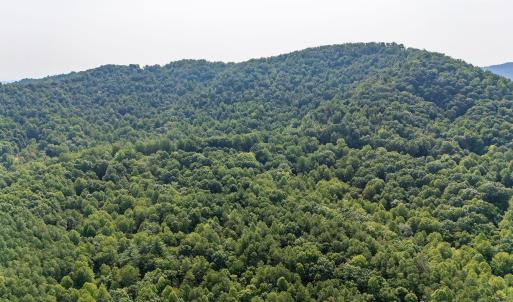 Photo #25 of 2476 ENNIS MOUNTAIN RD, AFTON, VA 114.8 acres