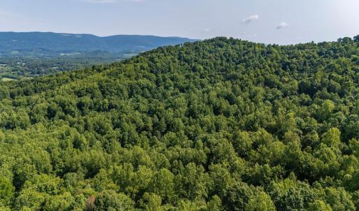 Photo #54 of 2476 ENNIS MOUNTAIN RD, AFTON, VA 114.8 acres