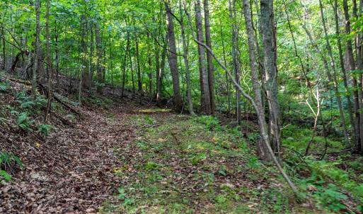 Photo #36 of 2476 ENNIS MOUNTAIN RD, AFTON, VA 114.8 acres