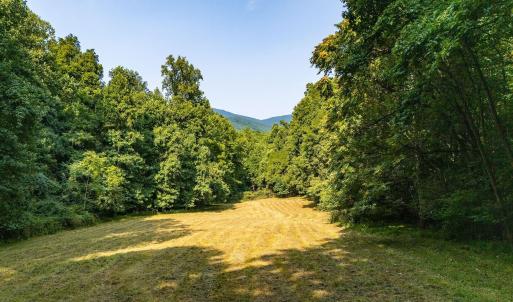Photo #56 of 2476 ENNIS MOUNTAIN RD, AFTON, VA 114.8 acres